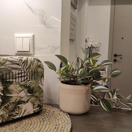 Appartement Minoan Gem *